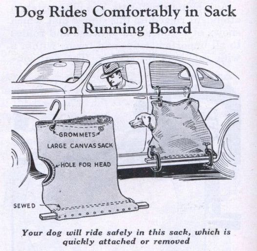 Ist möglicherweise ein Bild von Text „Dog Rides Comfortably in Sack on Running Board GROMMETS GROM METS LARGE CANVAS SACK HOLE FOR HEAD SEWED Your dog will ride safely in this sack, which is quickly attached or removed“
